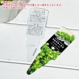 PLANCHU 観葉植物 アロマティカス ライムシャワー 3.5号鉢 受け皿付き 育て方説明書付き Plectranthus amboinicus 斑入り プレクトランサス ハーブ苗 虫除け植物