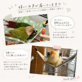 インコ ハンモック 2枚セット 鳥用 三角ハンモック 小鳥 鳥 ベッド 吊り下げ 両面使用 ケージ用 セキセイインコ 文鳥 コザクラインコ オカメインコ S Mサイズ