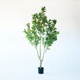 観葉植物 造花 レモンの木 BROWN 全高約220cm 大型 実付き フェイクグリーン 高級 本物そっくり リアル おしゃれ インテリア 人工観葉植物 アーティフィシャルグリーン シンボルツリー オフィス 店舗 カフェ 開店祝い 室内 リビング 玄関 風水 果樹 レモンツリー