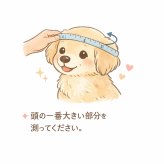 【名入れ】ラインストーン迷子チョーカー「ペットお名前／連絡先を刻印」無料ラッピング・お誕生日・プレゼント