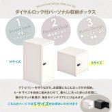 ロック付き収納 レクタンボックスS ONLS0393 ダイヤルロックキー付き 幅30cm 奥行36cm 高さ30cm リビング収納 韓国スタイル カジュアル 角型 スチール 鍵付き収納 鍵付きロッカー パーソナル収納 書類収納 小物整理 オフィ