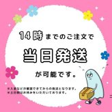 ディズニーロッツォ アクリルキーホルダー(MCD)(MCD)