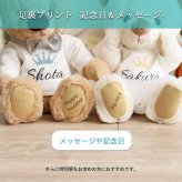 結婚祝い 名入れ ペア テディベア 【ふたりの門出に、世界にひとつのペアベア 】 名入れTシャツ ウェディングギフト 入籍祝い 新郎新婦 入籍祝い 友達 夫婦 ウェルカムスペース ウェルカムベア 記念日 入籍記念 結婚記念日 花以外 記念品 飾り物 ウェルカムドール インテリア 置物 完成品 可愛い 結婚記念 ぬいぐるみ くま カジュアルウェディングベアKUU＆FUU 8023602