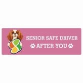 カーサイン 高齢者マーク SENIOR SAFE DRIVER キャバリアキングチャールズスパニエル ステッカー シール 長方形 20x6.7cm 肉球 日本製 車