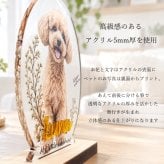うちの子フラワーアクリルスタンド　　名入れ オーダーメイド 犬 猫 うさぎ ペット 透明 プレゼント ギフト 写真立て フォトスタンド 記念 メモリアル ナチュラル 可愛い アクスタ 遺影 位牌