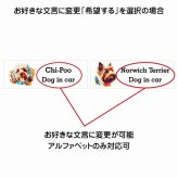 Dog in car Pomechs ポメックス Dタイプ サインステッカー シール 長方形 20x6.7cm 防水 屋内 屋外 セーフティサイン 安全対策 車用 安全運転 煽り運転対策 安全対策 カラフル ポップアート風 アニメ風 かわいい イラスト カーサイン