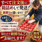 青森県産　りんご　ご家庭用　トキ　９ｋｇ　　送料無料！