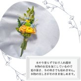 プリザーブドフラワー仏花　ラフィネ　紫苑の祈り　陽だまりの祈り　仏花　お供え　贈り物　プレゼント　お彼岸　枯れない仏花 フラワーアレンジ