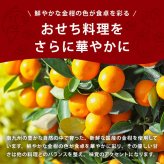 【予約商品 12月16日以降順次発送】南九州金柑シロップづけ はちみつ入り おせち 人工甘味料不使用 国産 九州産 上沖産業　お節料理 お正月 南九州産金柑使用 蜂蜜 金柑 きんかん シロップ漬け メール便 送料無料 MAEDAYA
