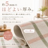 韓国ラグ チェック柄 洗える ラグマット 滑り止め付き 100×150cm 130×190cm 190×190cm 3サイズ 薄手 約5mm マイクロファイバー 韓国インテリア 北欧 おしゃれ かわいい パステル ピンク グリーン ペット オールシーズン