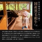 御中元 肉 ギフト お肉 黒毛和牛 カタログギフト 田中精肉店 肉師が厳選 20000円 コース 選べる プレゼント 和牛 結婚祝い グルメ お祝い 高級 国産和牛 国産 牛肉 誕生日 引き出物 内祝い 結婚内祝い お返し 快気祝い 香典返し