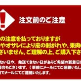 青森りんご 9kg 訳あり 送料無料 福袋 北海道産 青森産 リンゴ ※沖縄は送料別途加算 到着日指定不可