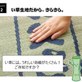 固わた40mm入り い草ごろ寝フリーマット（おやじの場所) 『大和』 約70×150cm