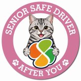カーサイン 高齢者マーク SENIOR SAFE DRIVER アメリカンショートヘア マグネット 強力 直径13cm 肉球 日本製 車 ステッカー