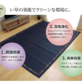 夏ラグ 夏用カーペット い草ラグカーペット エスニック柄 『NSエルム』 約191×191cm （裏面:滑りにくい加工）