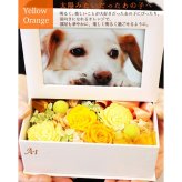 【動物病院 ペットサロン御用達】お供え 仏壇 仏花 四十九日 御供 仏花 法事 亡くなった お悔み花 プリザーブドフラワー 絵本 犬 猫 お悔やみ 贈り物 お供え ペット プリザ 仏花 プレゼント かわいい 写真立て フォト L版 花 アレンジメント ウサギ 線香 ろうそく 枯れない花 お悔やみ お盆の花 法要 3回忌 7回忌 メッセージ