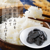 佃煮 ギフト 椎茸 老舗 詰め合わせ 国産 姫 ギフトセット 10個入(9種類)  しいたけの佃煮 昆布の佃煮 ちりめん ぴり辛 つくだ煮 甘露煮 ゆず甘露 きくらげ ご飯のお供 保存料・化学調味料不使用 手作り プレゼント 贈り物 手土産 ふるさとの味 姫野一郎商店 母の日 お歳暮 お中元 夏の贈り物 冬の贈り物 敬老の日 新築祝い お祝い 敬老の日 快気祝い 引っ越し祝い 