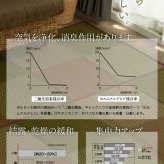夏ラグ 夏用カーペット い草ラグ 花ござ カーペット ラグ 8畳 格子柄 市松柄 『DXピーア』 本間8畳 (約382×382cm） 裏:不織布