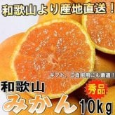 【予約】 和歌山県産 みかん ミカン 秀品 10kg　【送料無料】 10月中旬以降より発送開始