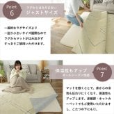 ラグ カーペット クッションマット マット 170×170cm ピタリ プラス すべり止め 下敷き 滑り止め 手洗い 防音マット 防音 防ダニ加工 ホット 対応 床暖房対応 ウレタン入り下敷き 保温性 下 絨毯下 便利 無地 ホワイト オールシーズン