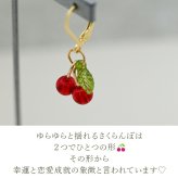 ゆらゆら揺れる小さなさくらんぼ フックピアス 金属アレルギー対応 ステンレス製 春 赤い実 かわいい