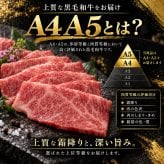 黒毛和牛 A4 A5 焼肉4種食べ比べ 400g 焼肉セット 肉ギフト