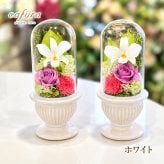 プリザーブドフラワー 仏花 お供え お悔やみ お彼岸 仏壇 プレゼント 初七日 四十九日 命日 法事 電報 弔電 通夜  プリザードフラワー ブリザードフラワー 仏花 新盆 仏壇 ガラスドーム 初七日 お彼岸 法要 電報 弔電 通夜 葬儀 法事 仏壇花 ブリザードフラワー