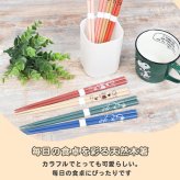 ＼2善セット／ ムーミン スヌーピー 箸 二膳セット 天然木 日本製 メール便 新作 Snoopy シンプル かわいい 青色 緑色 プレゼント キッチン ランチグッズ 食器 おしゃれ スヌーピーグッズ スヌーピーアイテム 木製 子供 大人 キッズ 贈り物 誕生日