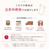 ギフトモール限定 ステンレスネックレス選べる3デザイン ステンレス ネックレス レディース キュービックジルコニア シンプル デコルテすっきり バーデザイン N1043 N1044 N1045