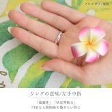ペアリング 2本セット ハワイアンジュエリー リング 刻印 無料 誕生石入れ可 指輪 プルメリア スクロール 29号まで 幅約3.5mm シルバー925 ギフト対応可 大きいサイズ ハワイアンジュエリーリング カップル 夫婦 ハロウィン 【品番：SR201P】