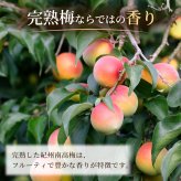 完熟梅ジャム 200g×3個セット 紀州産南高梅使用