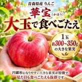 【新品種・希少】青森県産　りんご　家庭用　華宝（かほう）　大玉　10kg　24～40玉　送料無料！
