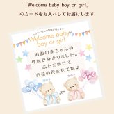 プリザーブドフラワー 【ジェンダーリビールフラワー02】　ジェンダーリビールとは、赤ちゃんの性別を 旦那さんや家族、友人にお披露目するイベントのことです。性別発表 花 フラワー 妊娠 サプライズ 男の子 女の子 帰省 妊娠報告 可愛い かわいい ホワイトデー イベント 性別 敬老の日