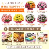 敬老の日 すぐ贈れるギフト 即日発送 ギフト プレゼント 花 生花 鉢植え 鉢花 カランコエ アザレア ベゴニア どら焼き スイーツ お菓子 和菓子 洋菓子 花とお菓子 60代 70代 80代 90代 おじいちゃん おばあちゃん 孫 孫から 送料無料 おいもや