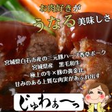 蔵王山麗ハンバーグ×角煮セット 低温調理豚の角煮150ｇ ハンバーグ180ｇ×２個～４個 セット商品 その他贈り物にも対応可能 ハンバーグセット 角煮セット 蔵王山麗ハンバーグ ギフトセット 冷凍 湯煎商品 冷凍ハンバーグ  母の日 父の日 お中元