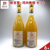 愛媛 エヒメエンゲージファーム 新甘夏 河内晩柑 ジュース セット 2種 計6本入 フルーツジュース 果汁飲料 ストレート ジュース 国産