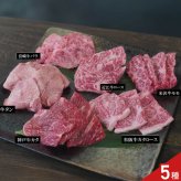 銘柄和牛 焼肉用 5種 牛タン 食べ比べ ギフトセット 牛肉 冷凍 カタロース バラ 牛モモ肉 スライス