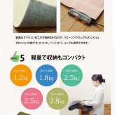 ラグ カーペット 3畳 洗える 無地 『イーズ』 約220×220cm 裏:すべりにくい加工 （ホット 対応）