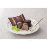 銀座京橋 レ ロジェ エギュスキロール ショコラアイスボール (AH-QSB) [お中元][お歳暮] ※送料無料(北海道・沖縄・離島への配送不可)