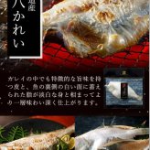 【送料無料】【高級ギフト】北海道　極宝珠漬セットB：2026年 お取り寄せ 北海道 誕生日プレゼント お歳暮 御歳暮 出産内祝い お返し 結婚 母 父 男性 女性 彼氏 彼女 お祝い お礼 お供え 極 海宝 かに うに  詰合せ 海鮮 人気セット 法人　冬ギフト
