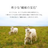ふんわり カシミヤ 100％ ニット カーディガン ロング 七分袖 ドルマン スリーブ 春アウター 春 秋冬 Filomo フィローモ レディース ベージュ フォーマル カジュアル ギフト プレゼント 7F (02000259r)