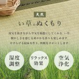 ベッド 寝具 畳シングル WB-7722S 木製 い草 檜 床下収納 天然木 畳マットレス ロング 吸湿 放湿 抗菌 防虫 新生活 フレーム ロー 和室 ハイタイプ フロア スリム コンパクト 頑丈 丈夫 寝室 一人暮らし