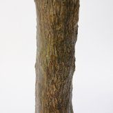 観葉植物 造花 ユッカ ロストラータ BROWN 全高約120cm 大型 フェイクグリーン 本物そっくり おしゃれ インテリア 人工観葉植物 アーティフィシャルグリーン オフィス 店舗 ホテル 開店祝い 室内 ブルー フェイク