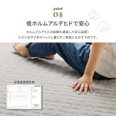 ラグ カーペット 洗える スウェット ココン 約190×240cm キルト 無地 洗濯機で洗える 滑り止め付き オールシーズン 新生活