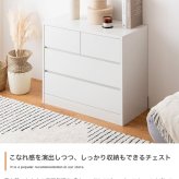 収納家具 ラック 服収納 バイカラー 収納ボックス 衣類収納 チェスト ランドリー ランドリー収納 収納ケース 二段 三段 子ども服収納 子ども用タンス リングインテリア リビング収納 お風呂場収納 脱衣所収納 引き出し 整理棚