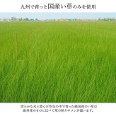 夏ラグ 夏用カーペット 敷物 花ござ 国産 純国産 日本製 い草 モダン 抗菌防臭 自然素材 江戸間8畳 約348×352cm