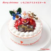 イチゴ生クリームクリスマスケーキ☆5号15cm(4～5人前) 北海道十勝の生クリームをたっぷり使用! 2026