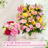 ご希望の色合いで選べる スクエアバスケットアレンジメント 高さ45cm 生花 フラワーアレンジメント 花ギフト フラワーギフト 誕生日 お祝い お見舞い 送別 季節行事 お供え お悔やみ 最短発送 送料無料【北海道・沖縄・九州・四国・中国・離島は配送不可】
