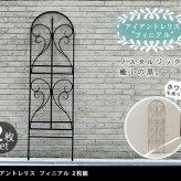 ガーデン エクステリア アイアントレリス フィニアル 2枚組 送料無料 フェンス ゲート 扉 アイアン ガーデニング 枠 柵 仕切り 目隠し 境目 クラシカル アンティーク トレリス ベランダ つる 薔薇 バラ 朝顔 園芸 ラティス つるバラ 庭誘引