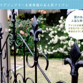 アイアンフェンス150 ロータイプ 4枚組 ブ 送料無料 フェンス アイアン ガーデンフェンス ガーデニング 枠 柵 仕切り 目隠し 境目 クラシカル アンティーク トレリス ベランダ つる 薔薇 バラ 朝顔 園芸 ラティス ブラック スチール 屋外